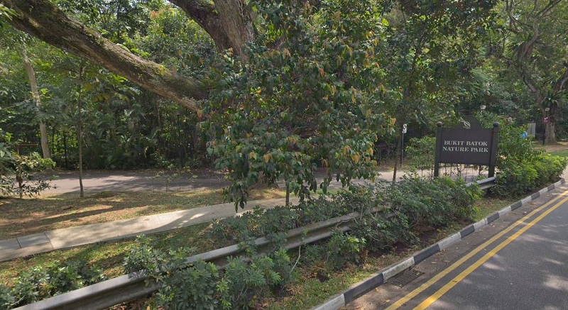 Bukit Batok Nature Park Near To Copen Grand New Executive Condo EC at Tengah Garden Walk By CDL and MCL Land